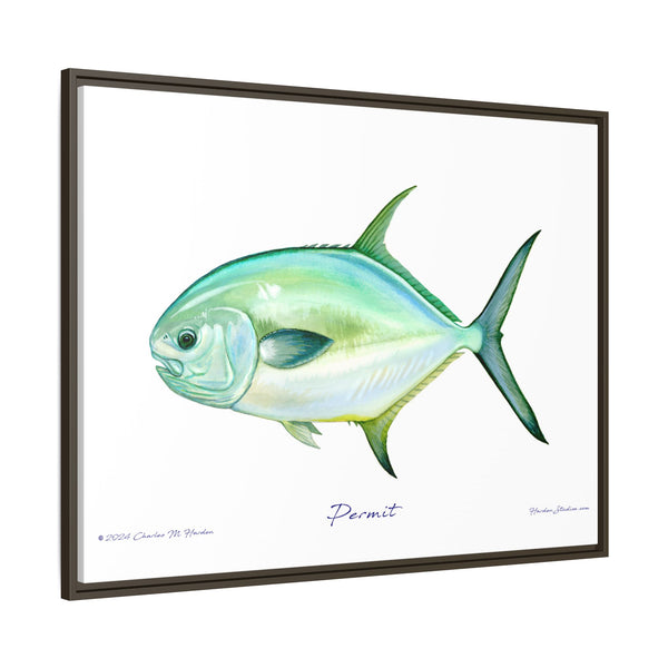 Framed Permit Canvas Fish Fishing Wall Art Print