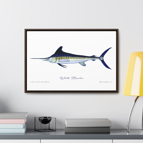 White Marlin Fish Art Print