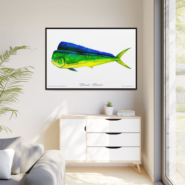 Mahi Mahi Framed Canvas Fish Art Print