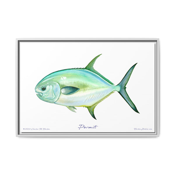 Framed Permit Canvas Fish Fishing Wall Art Print