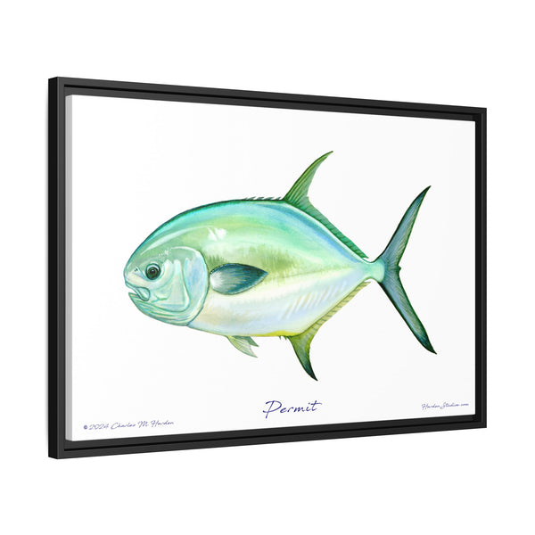 Framed Permit Canvas Fish Fishing Wall Art Print