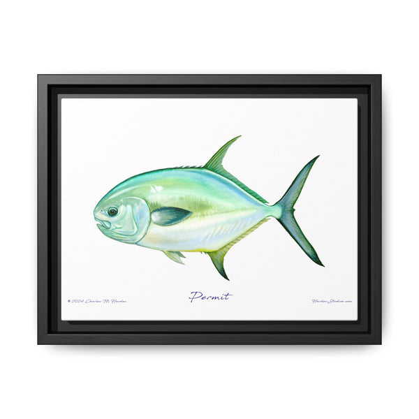 Framed Permit Canvas Fish Fishing Wall Art Print