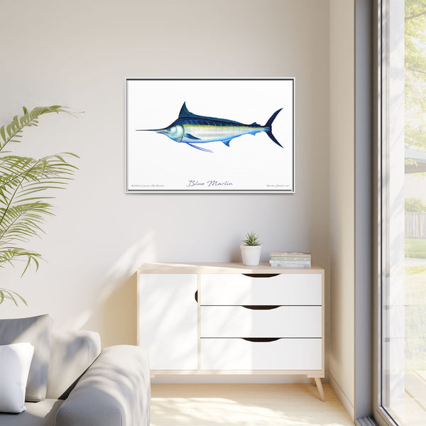 Framed Blue Marlin Canvas Fish Wall Art Print by Charles Harden