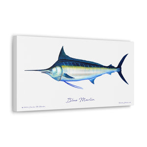 Blue Marlin Canvas Fish Art Print Unframed