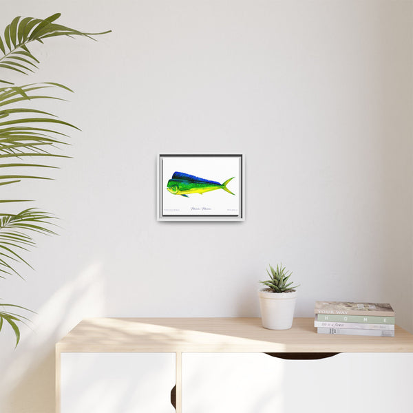 Mahi Mahi Framed Canvas Fish Art Print