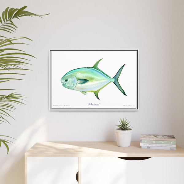 Framed Permit Canvas Fish Fishing Wall Art Print