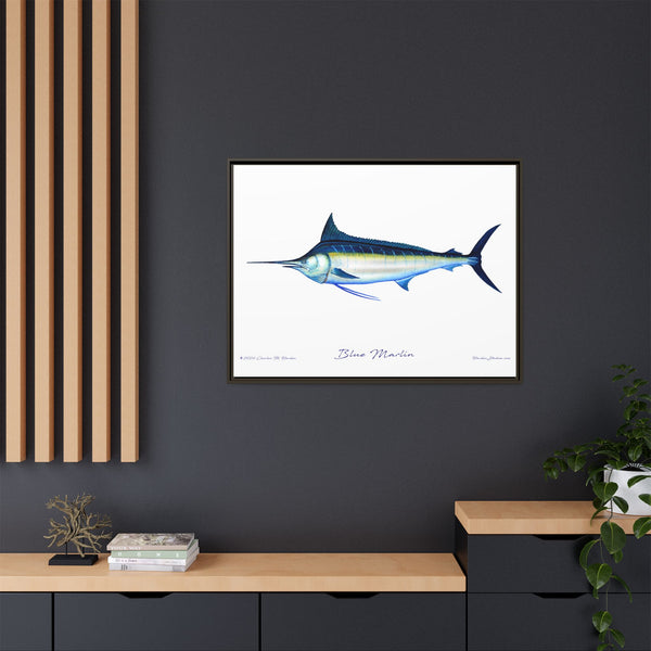 Framed Blue Marlin Canvas Fish Wall Art Print by Charles Harden