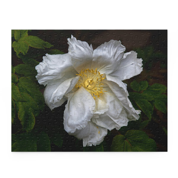 Peony Puzzle 2 (120, 252, 500-Piece)