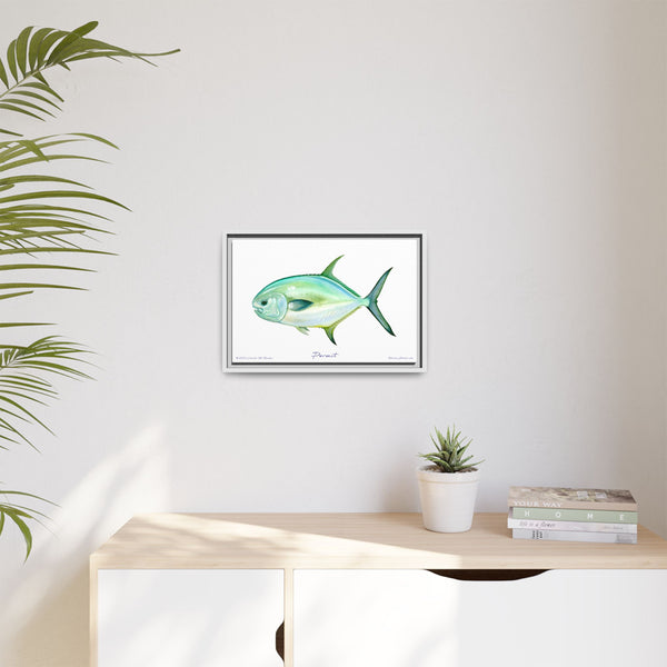 Framed Permit Canvas Fish Fishing Wall Art Print