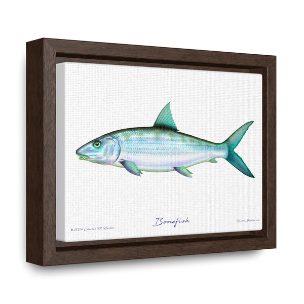 Framed Bonefish Canvas Fish Wall Art Print with Free Shipping