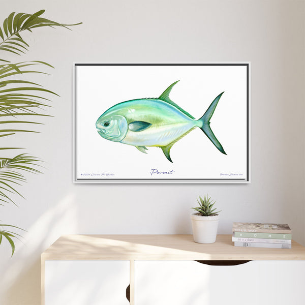 Framed Permit Canvas Fish Fishing Wall Art Print