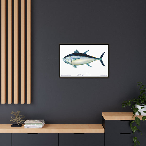 Bluefin Tuna Framed Canvas Fish Art Print