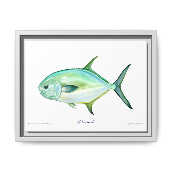 Framed Permit Canvas Fish Fishing Wall Art Print