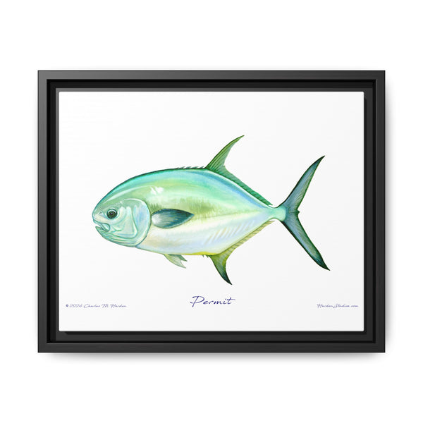 Framed Permit Canvas Fish Fishing Wall Art Print