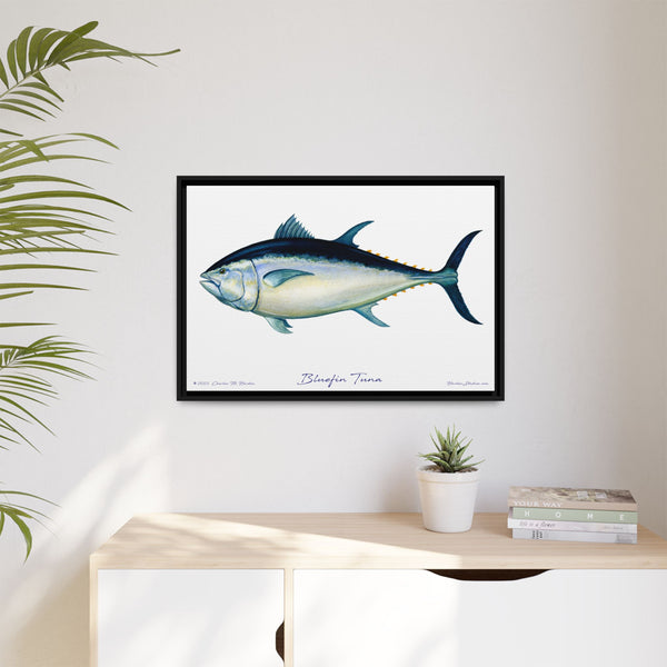 Bluefin Tuna Framed Canvas Fish Art Print