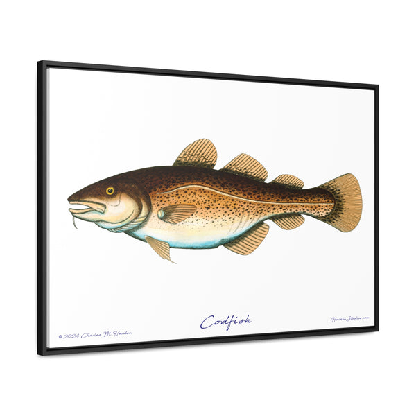 Framed Codfish Canvas Fish Fishing Wall Art Print with Free Shipping