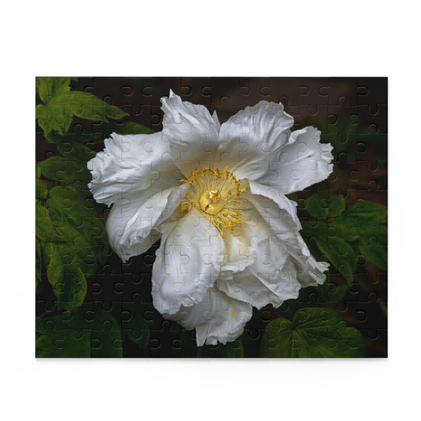 Peony Puzzle 2 (120, 252, 500-Piece)