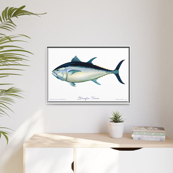 Bluefin Tuna Framed Canvas Fish Art Print