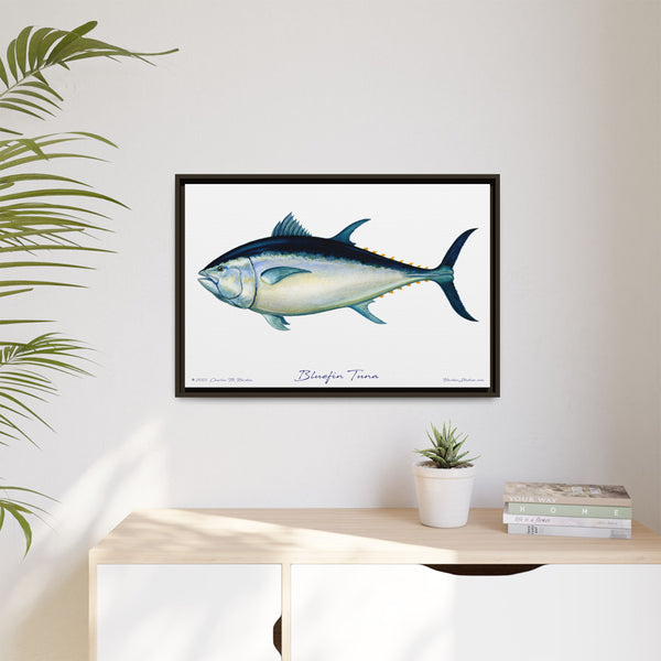 Bluefin Tuna Framed Canvas Fish Art Print