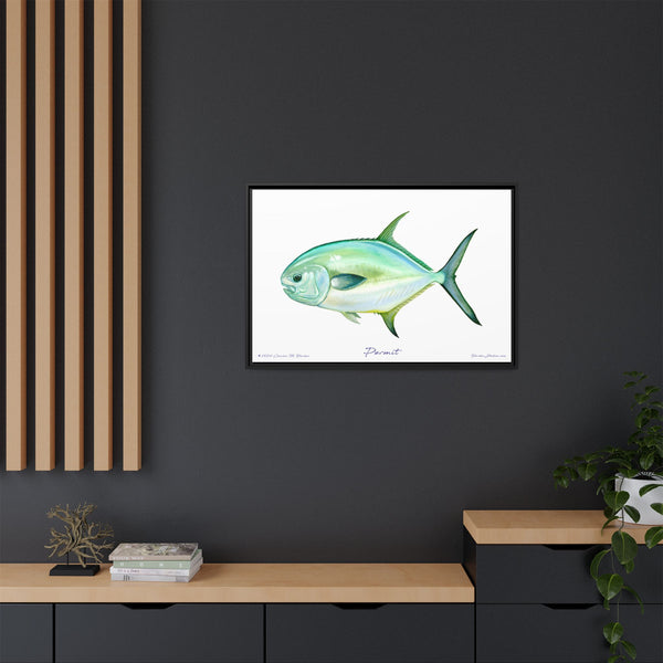 Framed Permit Canvas Fish Fishing Wall Art Print