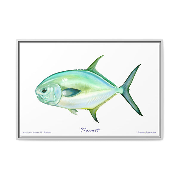 Framed Permit Canvas Fish Fishing Wall Art Print