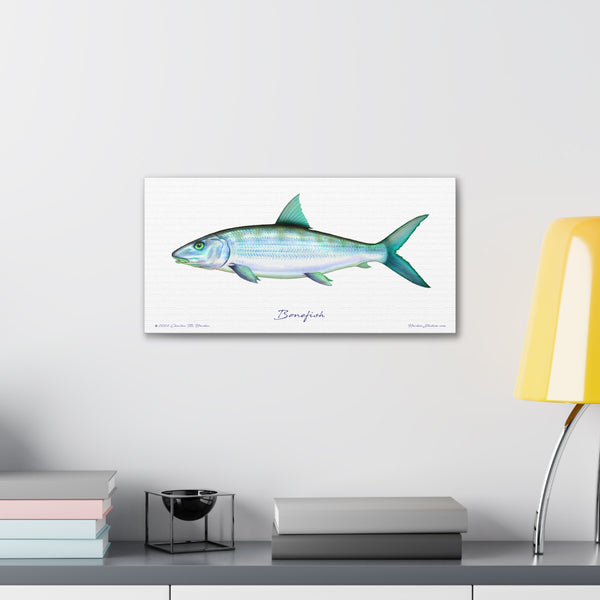 Bonefish Canvas Wall Art Print