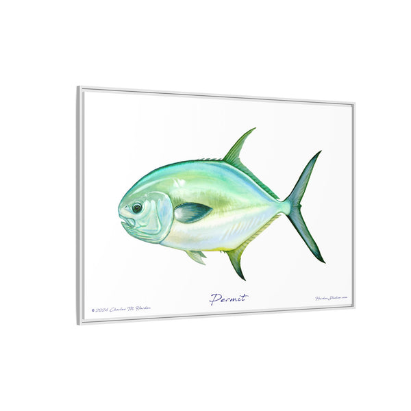 Framed Permit Canvas Fish Fishing Wall Art Print