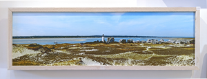 Sandy Neck Cottages From the Big Dune