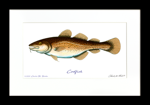 Codfish Signed Print