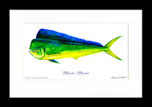 Mahi Mahi Signed Fish Art Print