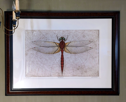 Ruby Meadowhawk Dragonfly Original Etching Art