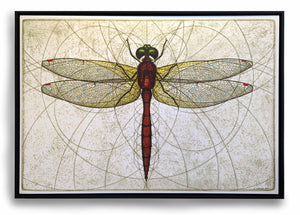 Ruby Meadowhawk Dragonfly Canvas