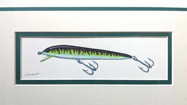 Striped Bass with Vintage Fishing Lure